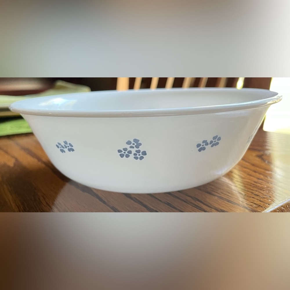 Corelle Secret Garden Pattern Cereal Bowl 6-1/4"
